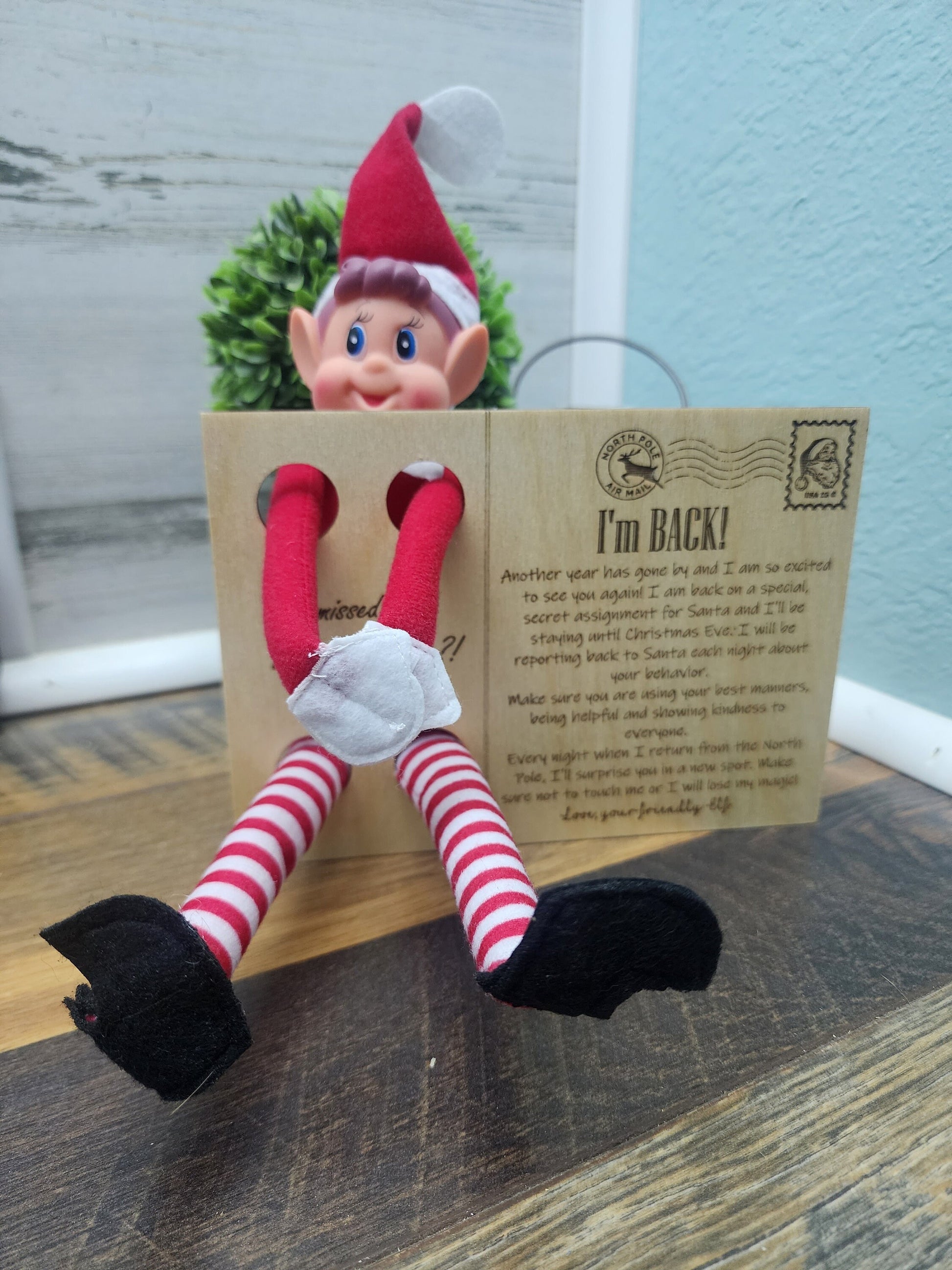 The Elf Is Back | The Red Elf Has Returned | Elf Accessories | Christmas Elf Accessories