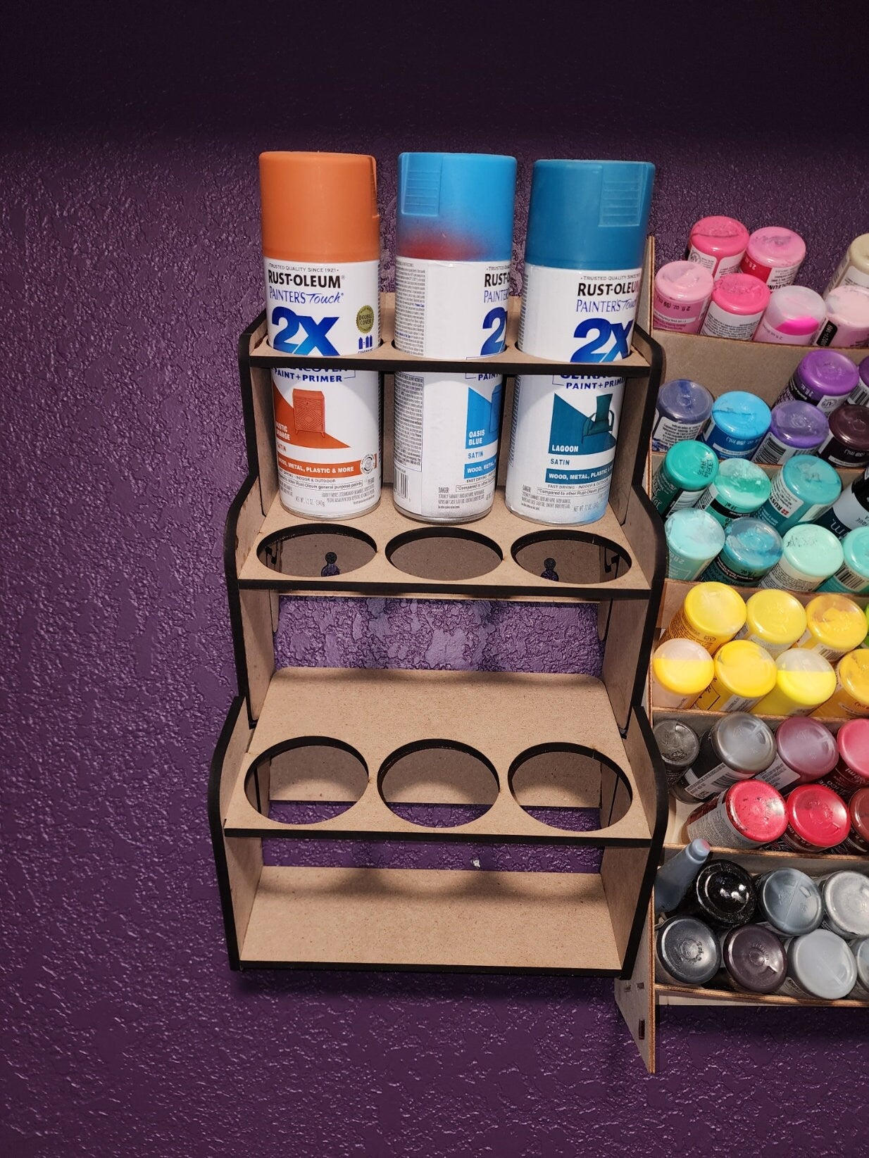 Spray Paint Organization | Garage Organization | Wall Mounted Spray Paint Holder