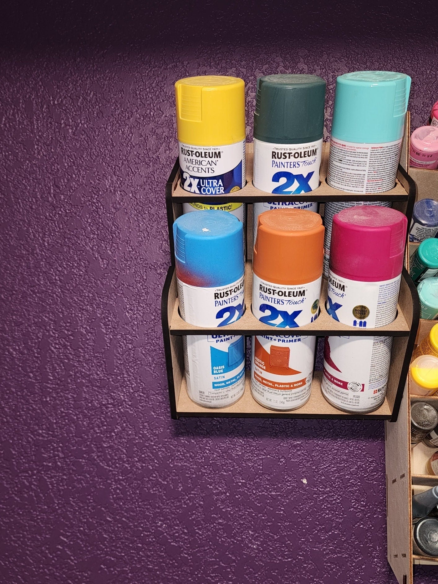 Spray Paint Organization | Garage Organization | Wall Mounted Spray Paint Holder